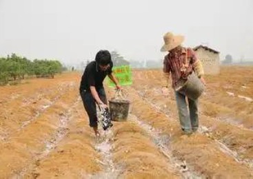 宝宝尿布中的保水剂促进水肥耦合作用